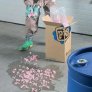 PIG HAZMAT PULP