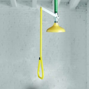 SPEAKMAN DELUGE SHOWER