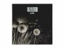 LAICA PS1080 ELECTRONIC PERSONAL SCALE, DESIGN LUXURY NATURE (4PCS/CTN)