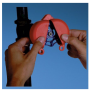 PANDUIT GATE VALVE LOCKOUTS, ACCOMMODATES 10.00