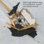 NEW PIG TLS462 CLEAR ROOF LEAK DIVERTER TARP WITH PVC FUNNEL DESIGN