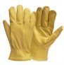 QM 504 Work Glove