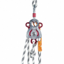 Janus