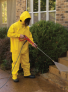 2603