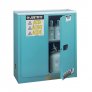 30 GAL 2 DR ACID SAFETY CABINET