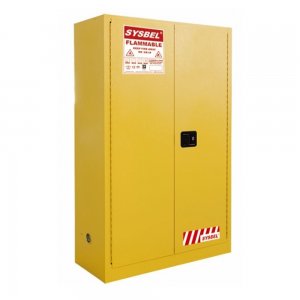 45 GAL 2 DR FLAMMABLE CABINET