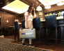 BIOSPRAY-5 Ultra-Portable Surface Sanitation System • BIO-SPRAY-5-BP