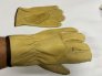 Lab Safety – LSS-23392L