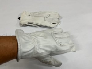 Lab Safety – LSS-3NCL9