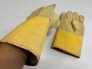 Lab Safety – LSS-3PWJ3