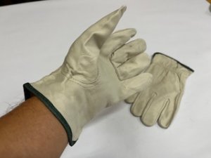 Lab Safety – LSS-9P846