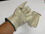 Lab Safety – LSS-9P846