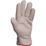 Delta Plus Fcn29 Grain Leather Glove